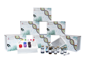 大鼠蛋白激酶A(PKA)ELISA试剂盒产品图片