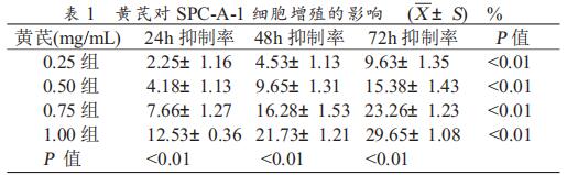 不同浓度的黄芪对 SPC-A-1 细胞生长的影响